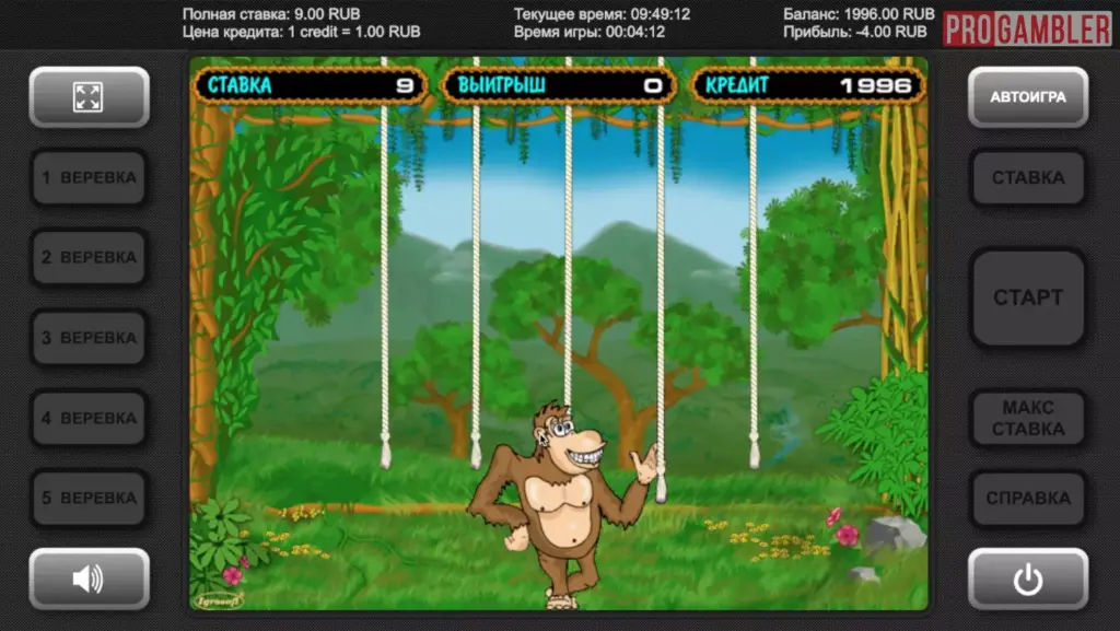 Бонусная игра Crazy Monkey